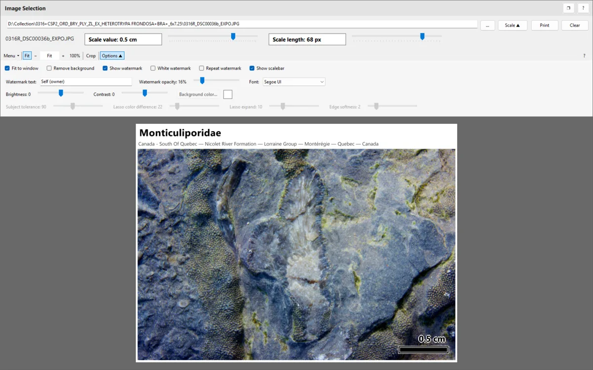 Annotated specimen image in FossilCore